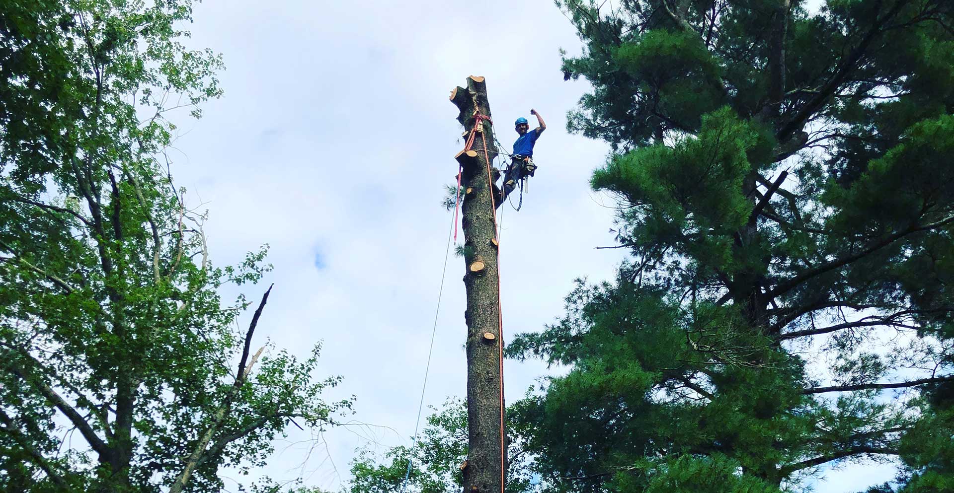 <strong><span style=